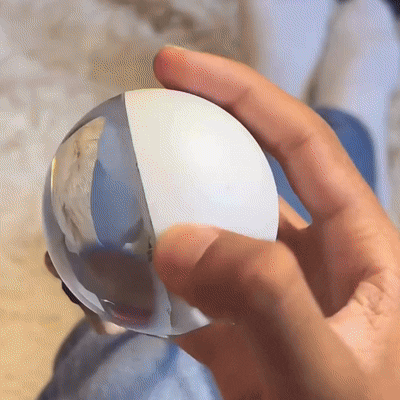 Eternal Memory Orb™